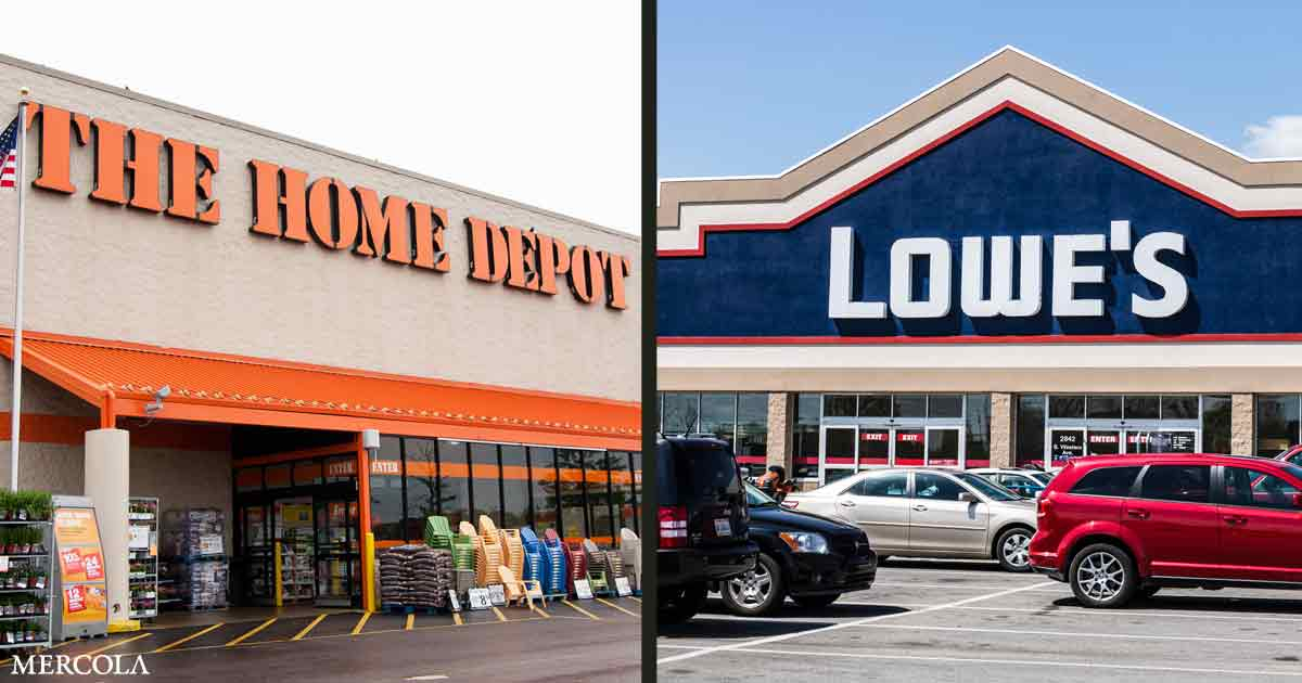 Home Depot Roundup Rebate 2022